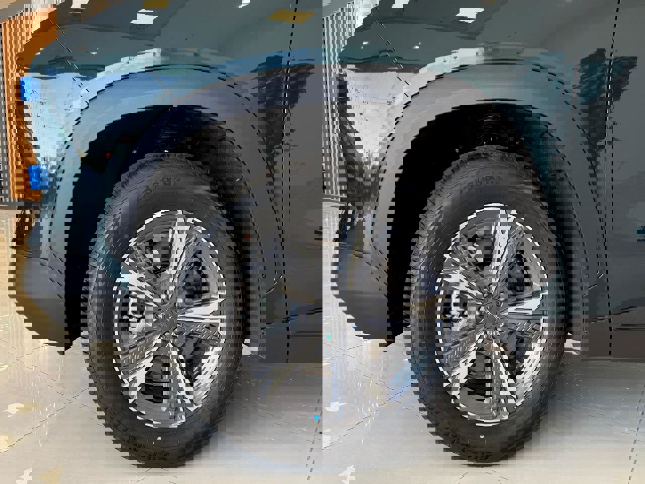 جيتور داشينج 2026